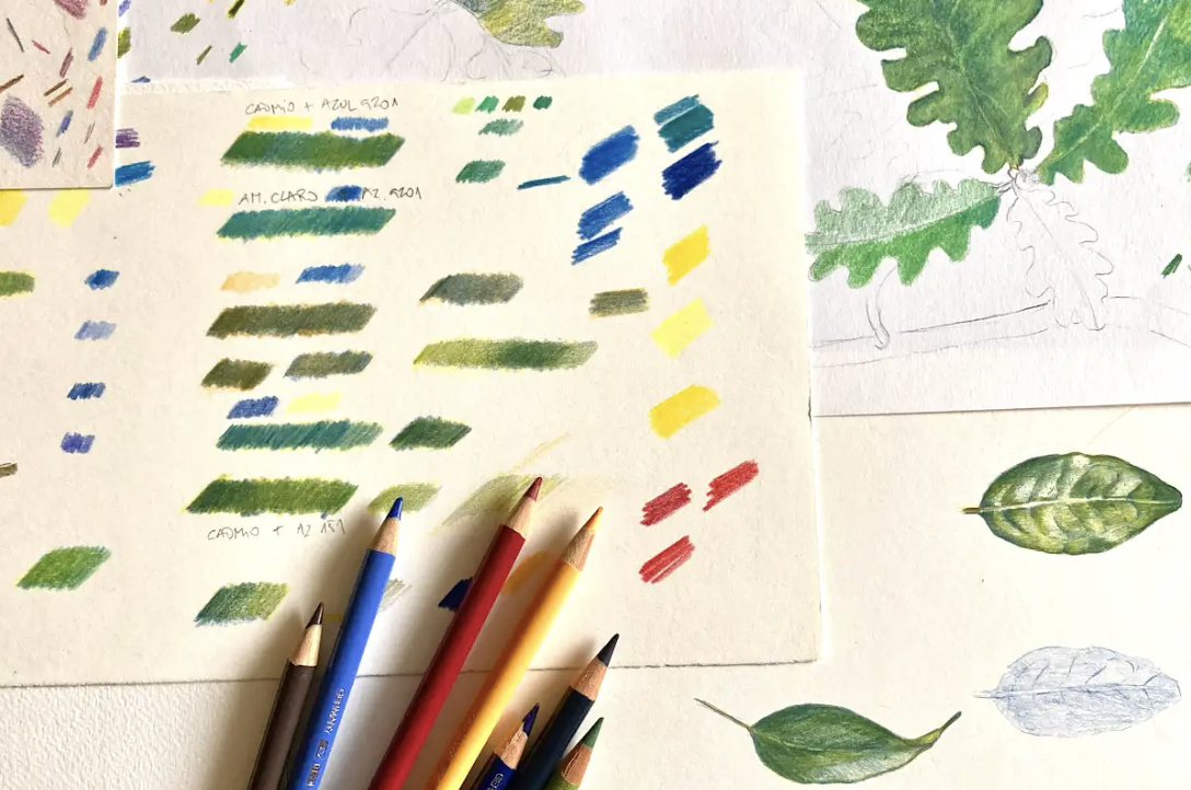 Cuaderno de Campo botánico